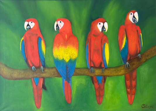 Parrots Chit Chat